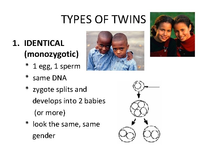 TYPES OF TWINS 1. IDENTICAL (monozygotic) * 1 egg, 1 sperm * same DNA