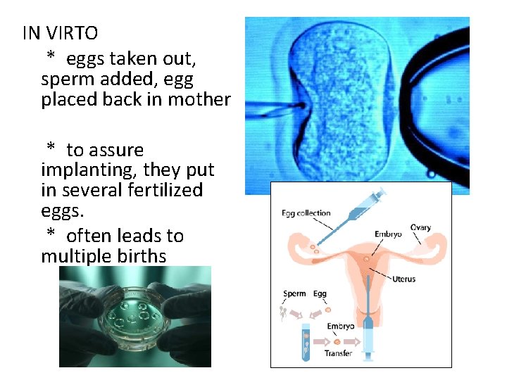 IN VIRTO * eggs taken out, sperm added, egg placed back in mother *
