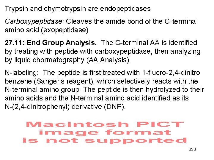 Trypsin and chymotrypsin are endopeptidases Carboxypeptidase: Cleaves the amide bond of the C-terminal amino