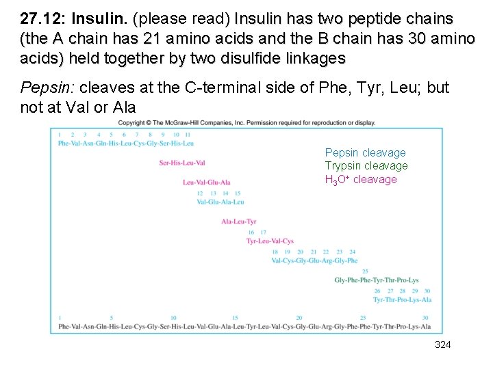 27. 12: Insulin. (please read) Insulin has two peptide chains (the A chain has