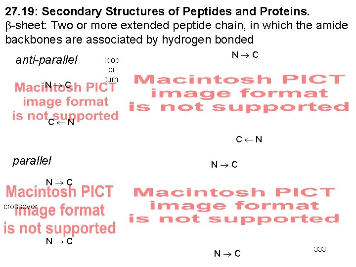 27. 19: Secondary Structures of Peptides and Proteins. -sheet: Two or more extended peptide