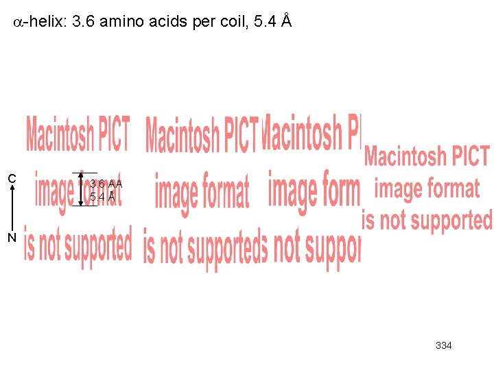  -helix: 3. 6 amino acids per coil, 5. 4 Å C 3. 6