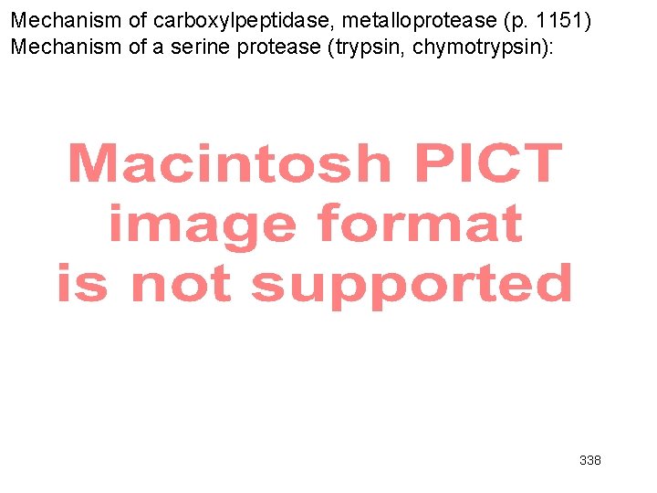 Mechanism of carboxylpeptidase, metalloprotease (p. 1151) Mechanism of a serine protease (trypsin, chymotrypsin): 338