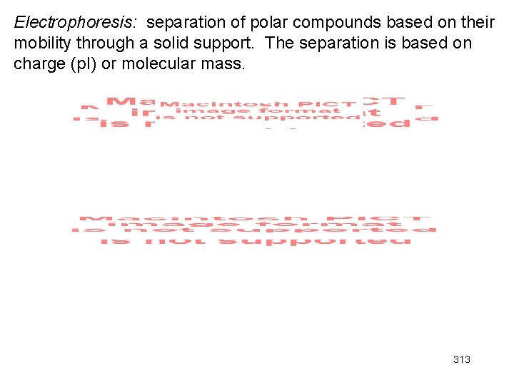 Electrophoresis: separation of polar compounds based on their mobility through a solid support. The