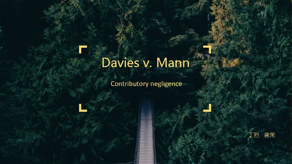 Davies v. Mann Contributory negligence 丁烈 蒋荣 