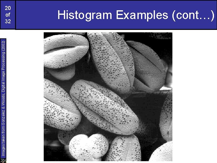 Images taken from Gonzalez & Woods, Digital Image Processing (2002) 20 of 32 Histogram