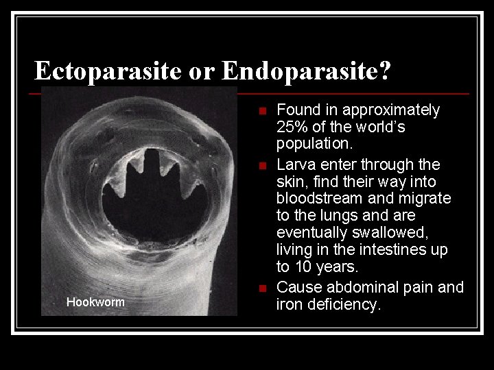 Ectoparasite or Endoparasite? n n Hookworm n Found in approximately 25% of the world’s Ectoparasite or Endoparasite? n n Hookworm n Found in approximately 25% of the world’s