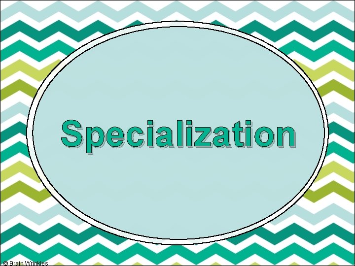 Specialization © Brain Wrinkles 