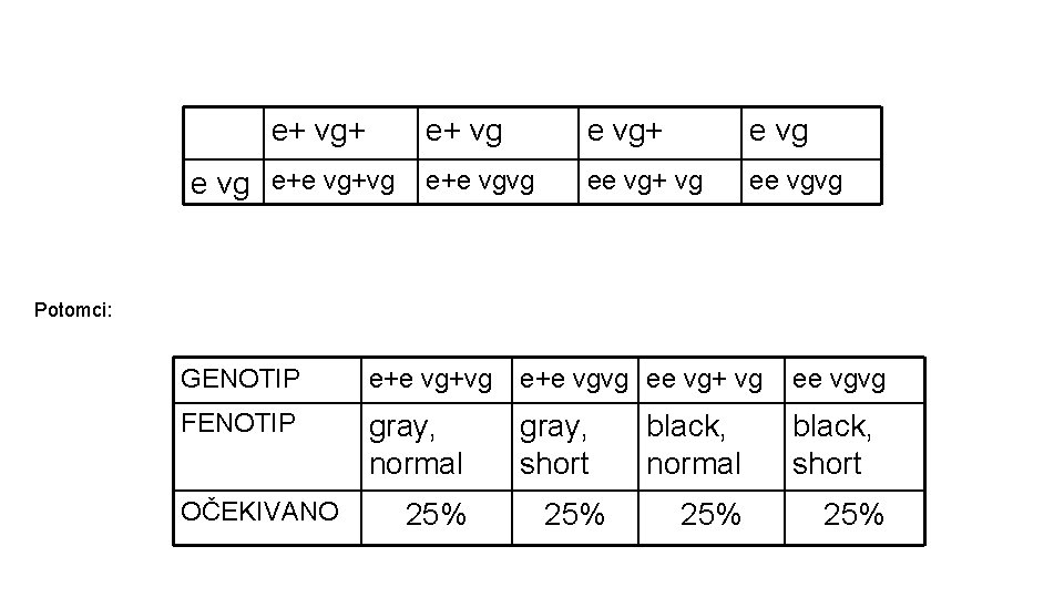  • Offspring: e+ vg+ e+ vg e+e vg+vg e+e vgvg e vg+ e