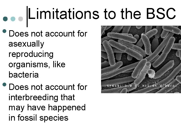 Limitations to the BSC • Does not account for • asexually reproducing organisms, like