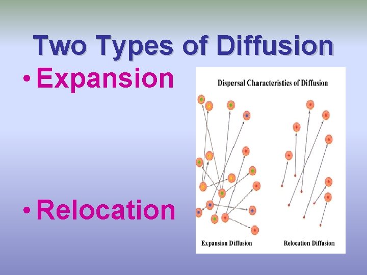 Two Types of Diffusion • Expansion • Relocation 