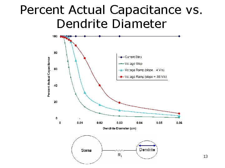 Percent Actual Capacitance vs. Dendrite Diameter 13 Percent Actual Capacitance vs. Dendrite Diameter 13