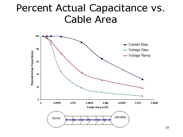 Percent Actual Capacitance vs. Cable Area Soma Dendrite 19 Percent Actual Capacitance vs. Cable Area Soma Dendrite 19