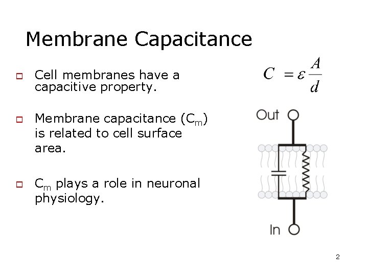 Membrane Capacitance o o o Cell membranes have a capacitive property. Membrane capacitance (Cm) Membrane Capacitance o o o Cell membranes have a capacitive property. Membrane capacitance (Cm)