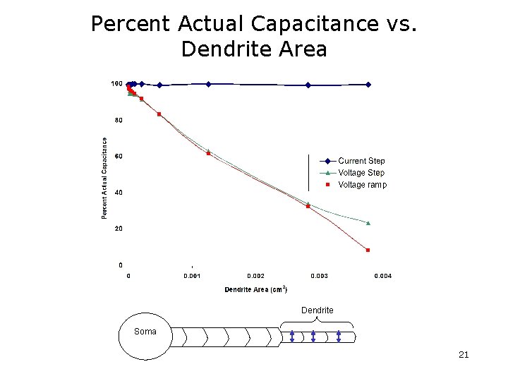 Percent Actual Capacitance vs. Dendrite Area Dendrite Soma 21 Percent Actual Capacitance vs. Dendrite Area Dendrite Soma 21