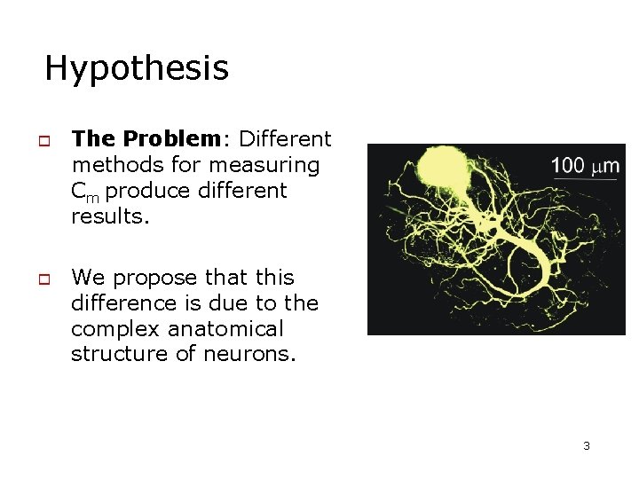 Hypothesis o o The Problem: Different methods for measuring Cm produce different results. We Hypothesis o o The Problem: Different methods for measuring Cm produce different results. We