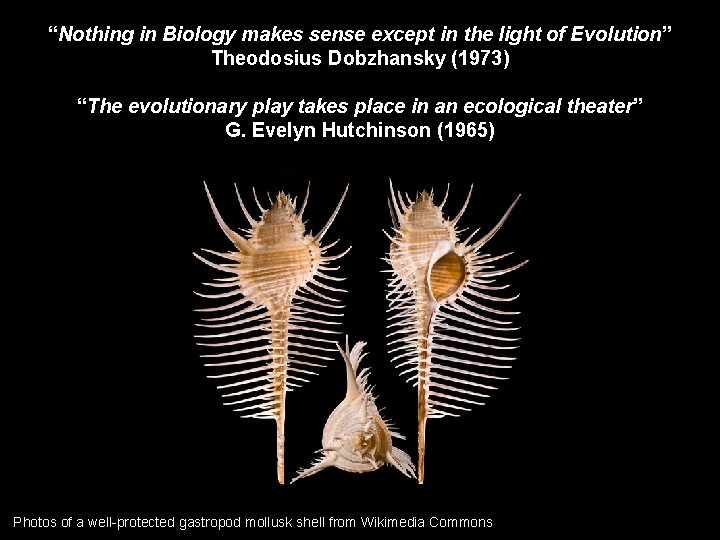 “Nothing in Biology makes sense except in the light of Evolution” Theodosius Dobzhansky (1973)