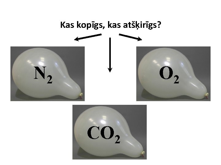 Kas kopīgs, kas atšķirīgs? N 2 O 2 CO 2 