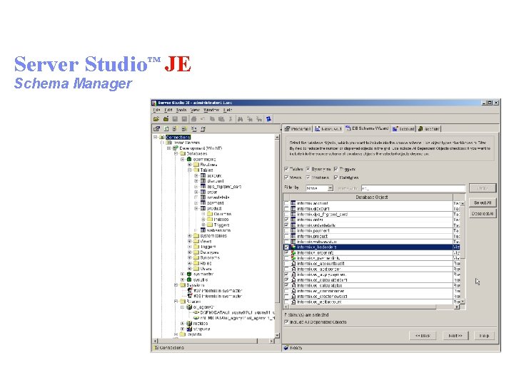 Server Studio™ JE Schema Manager 