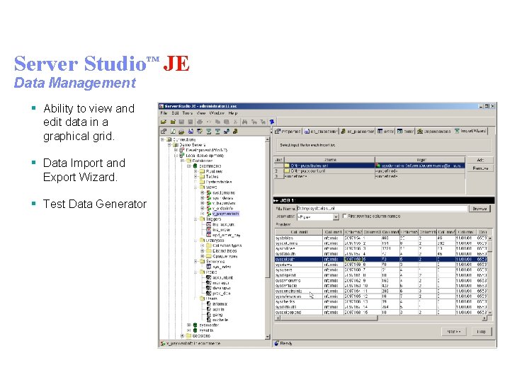 Server Studio™ JE Data Management § Ability to view and edit data in a