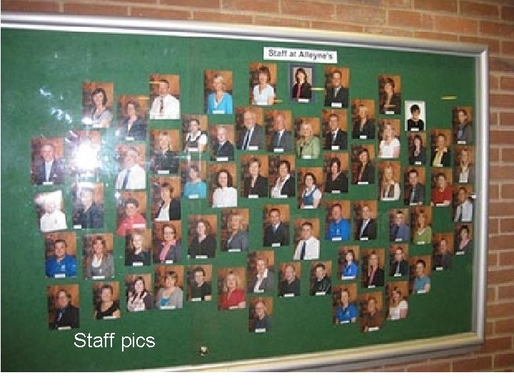 Staff pics 