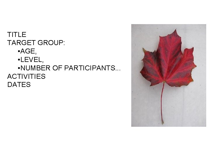 TITLE TARGET GROUP: • AGE, • LEVEL, • NUMBER OF PARTICIPANTS. . . ACTIVITIES