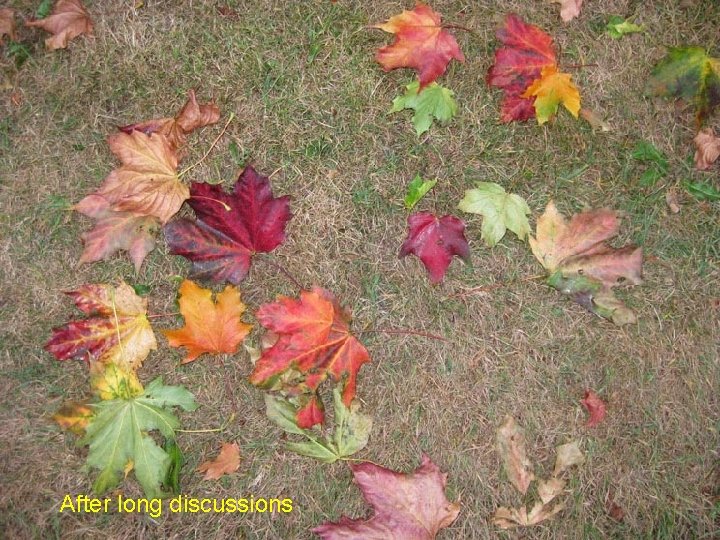 After long discussions 