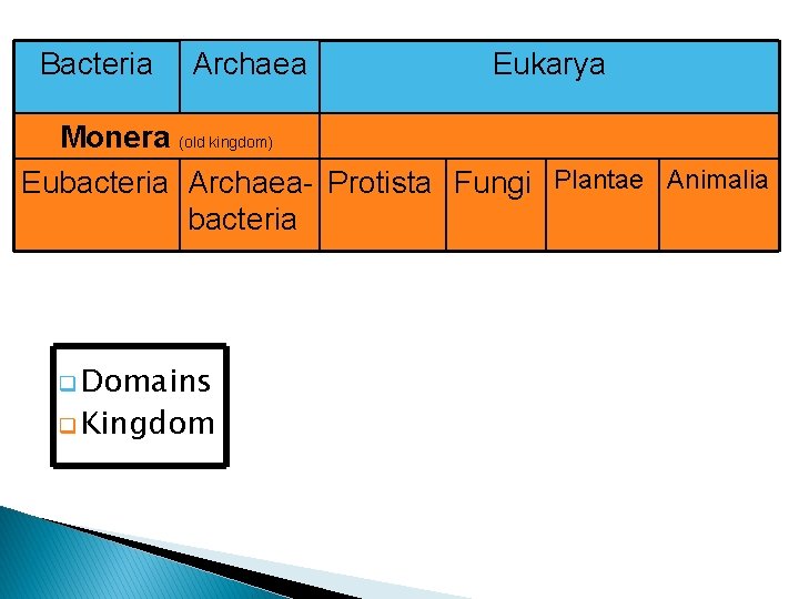Bacteria Archaea Eukarya Monera (old kingdom) Eubacteria Archaea- Protista Fungi Plantae Animalia bacteria q
