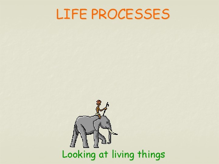 LIFE PROCESSES Looking at living things 