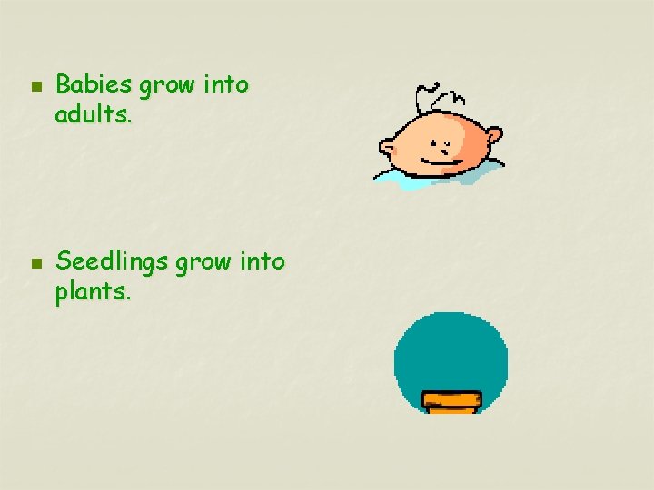 n n Babies grow into adults. Seedlings grow into plants. 