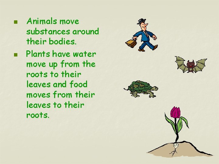 n n Animals move substances around their bodies. Plants have water move up from