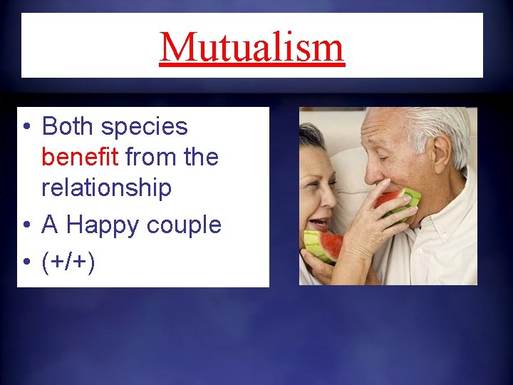 Mutualism • Both species benefit from the relationship • A Happy couple • (+/+)