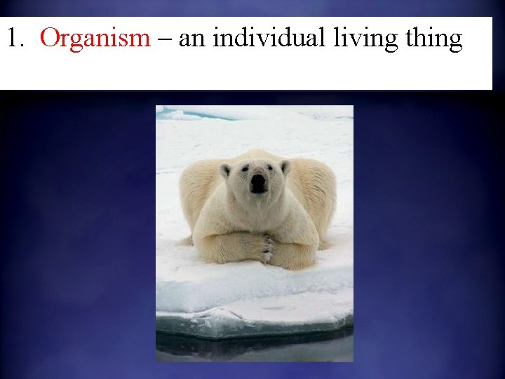 1. Organism – an individual living thing 