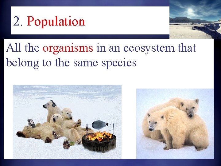 2. Population All the organisms in an ecosystem that belong to the same species