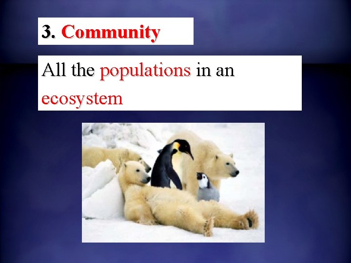 3. Community All the populations in an ecosystem 