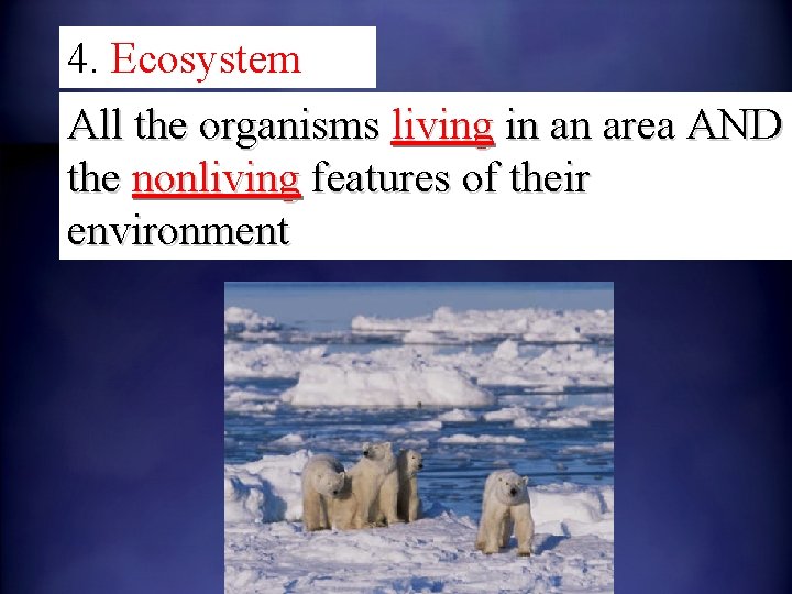 4. Ecosystem All the organisms living in an area AND the nonliving features of