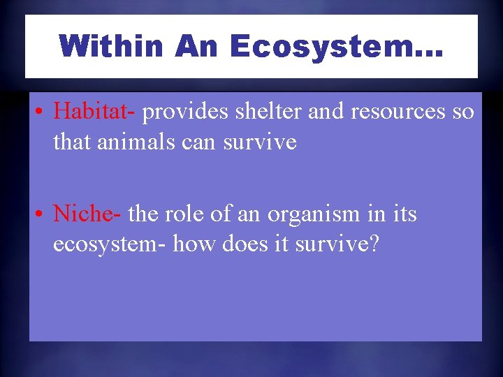 Within An Ecosystem… • Habitat- provides shelter and resources so that animals can survive