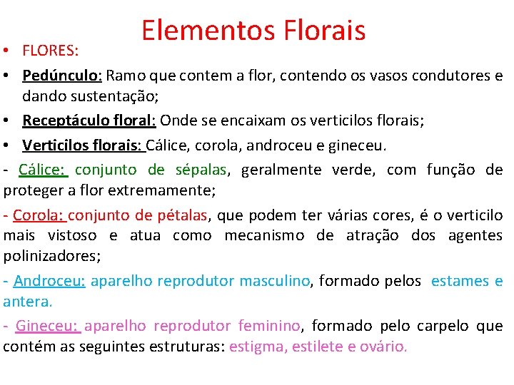 Elementos Florais • FLORES: • Pedúnculo: Ramo que contem a flor, contendo os vasos