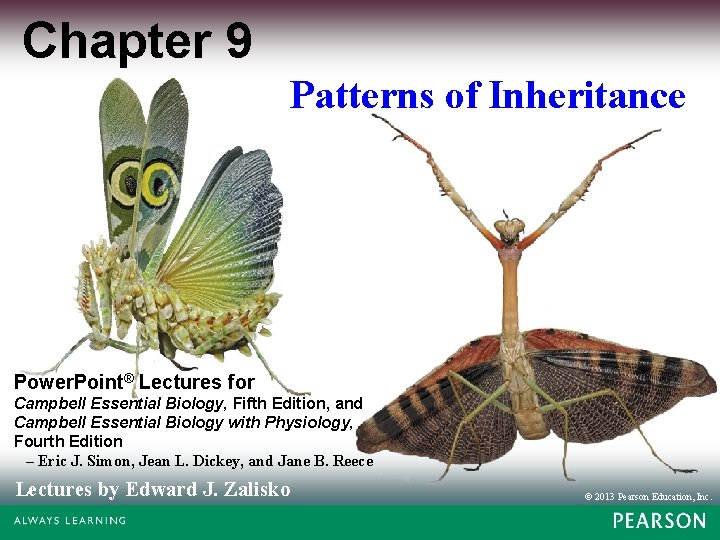 Chapter 9 Patterns of Inheritance Power. Point® Lectures for Campbell Essential Biology, Fifth Edition,