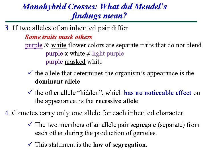 Monohybrid Crosses: What did Mendel’s findings mean? 3. If two alleles of an inherited