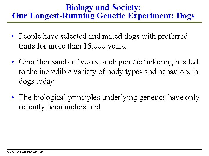 Biology and Society: Our Longest-Running Genetic Experiment: Dogs • People have selected and mated