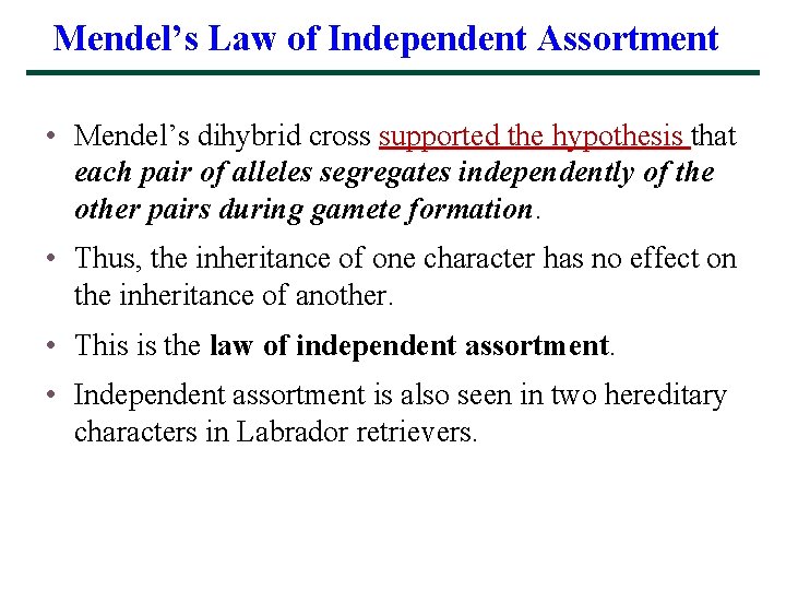 Mendel’s Law of Independent Assortment • Mendel’s dihybrid cross supported the hypothesis that each