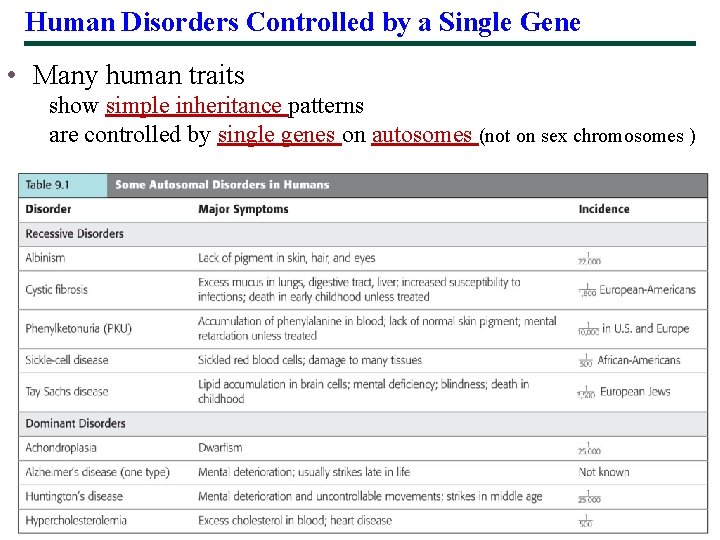 Human Disorders Controlled by a Single Gene • Many human traits show simple inheritance