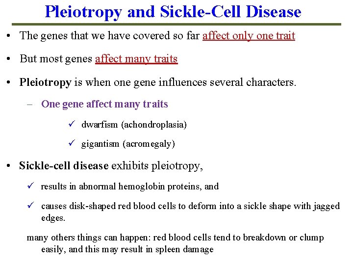 Pleiotropy and Sickle-Cell Disease • The genes that we have covered so far affect