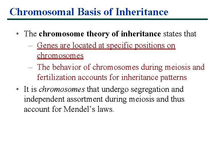 Chromosomal Basis of Inheritance • The chromosome theory of inheritance states that – Genes