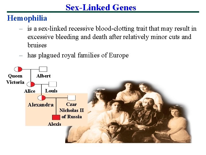 Sex-Linked Genes Hemophilia – is a sex-linked recessive blood-clotting trait that may result in