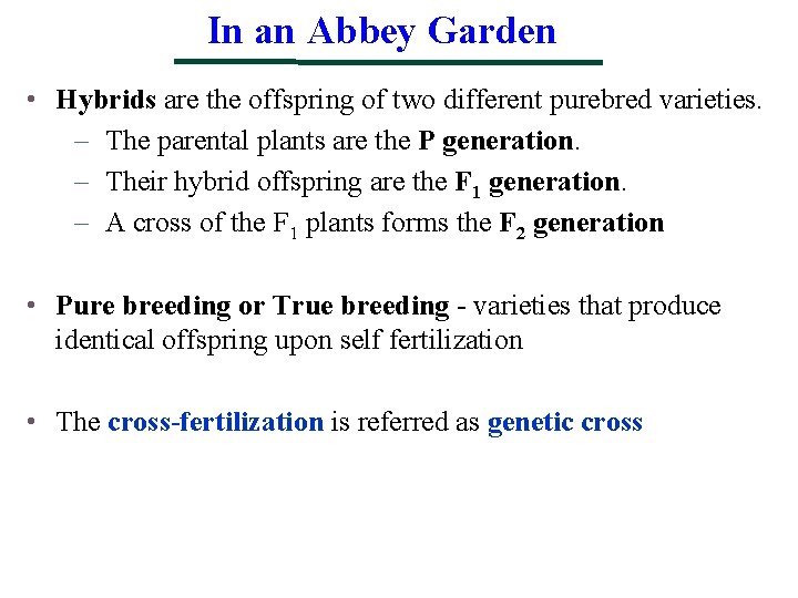In an Abbey Garden • Hybrids are the offspring of two different purebred varieties.