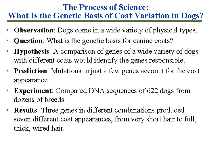 The Process of Science: What Is the Genetic Basis of Coat Variation in Dogs?