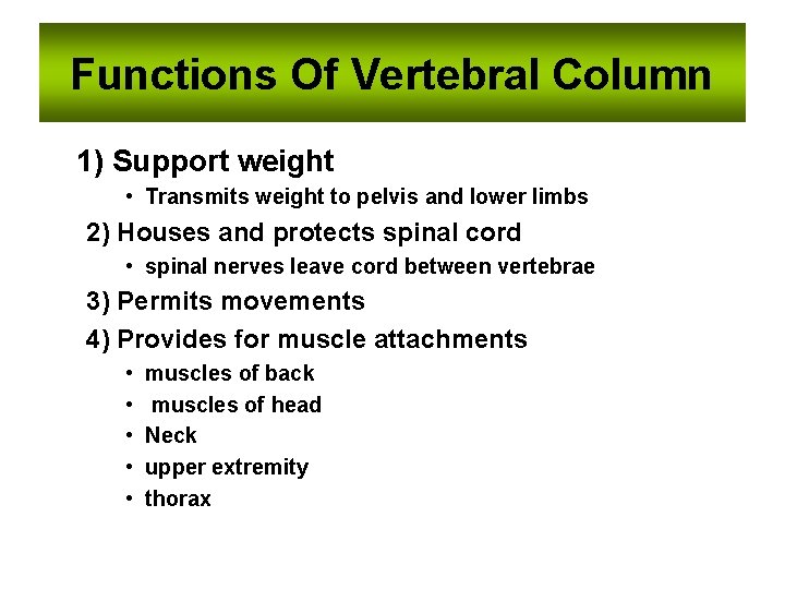 Functions Of Vertebral Column 1) Support weight • Transmits weight to pelvis and lower Functions Of Vertebral Column 1) Support weight • Transmits weight to pelvis and lower
