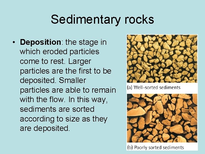 Sedimentary rocks • Deposition: the stage in which eroded particles come to rest. Larger Sedimentary rocks • Deposition: the stage in which eroded particles come to rest. Larger